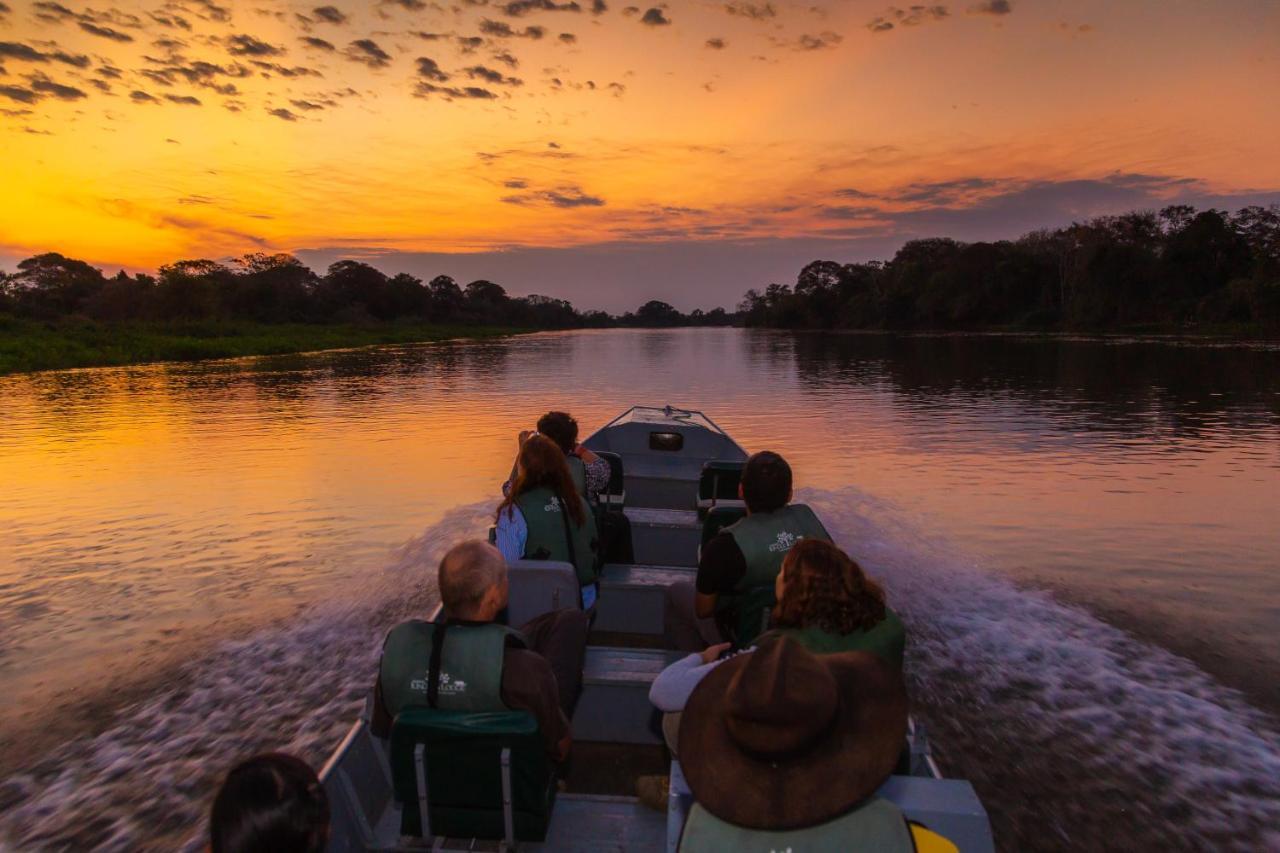 Pantanal Jungle Lodge Passo do Lontra Luaran gambar