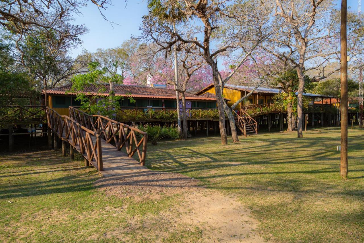 Pantanal Jungle Lodge Passo do Lontra Luaran gambar