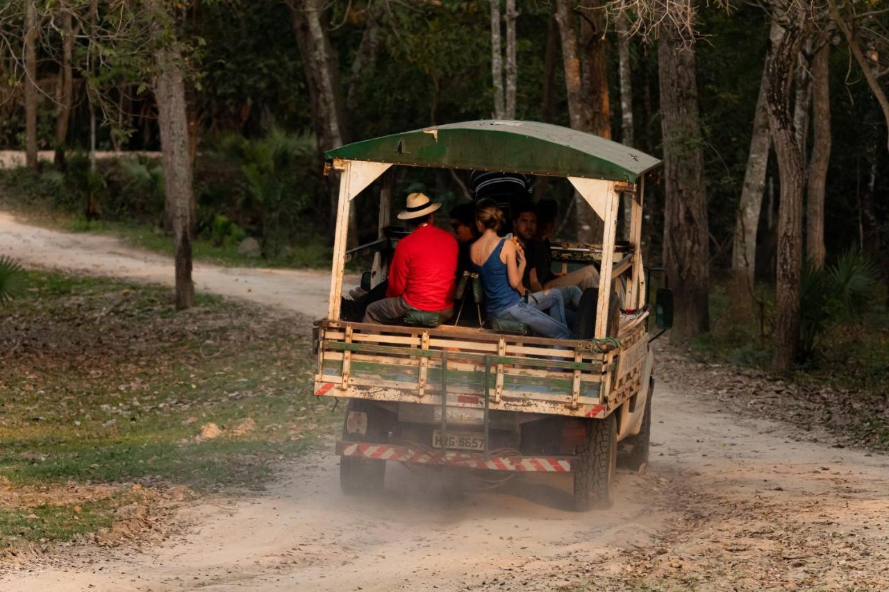 Pantanal Jungle Lodge Passo do Lontra Luaran gambar