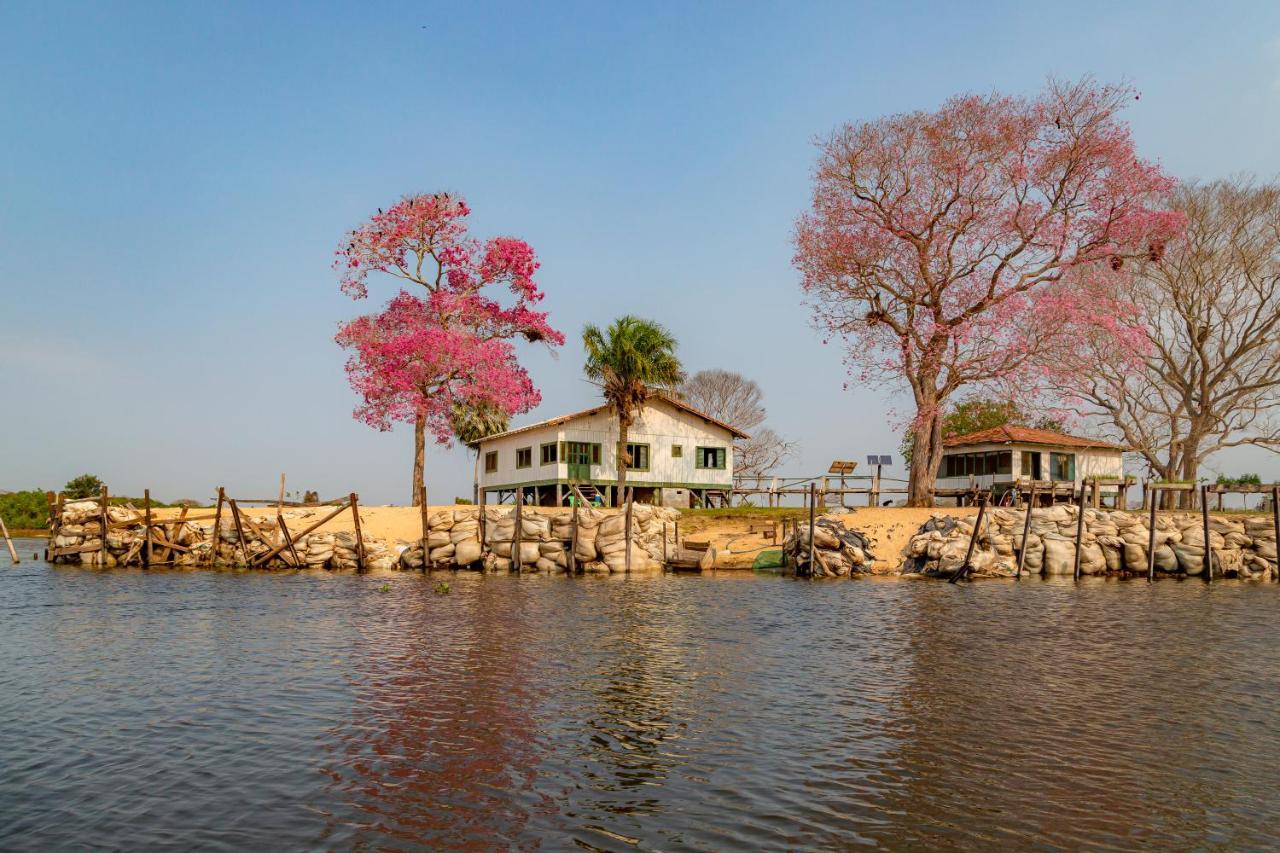 Pantanal Jungle Lodge Passo do Lontra Luaran gambar